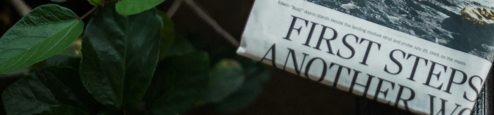 A newspaper rests on a chair next to a plant